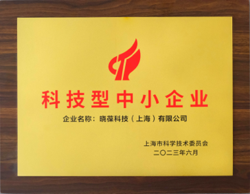 科技型中小企业